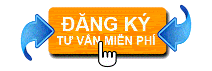 tu-van-du-hoc
