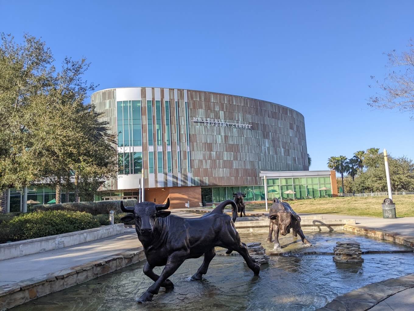 university-of-south-florida-1