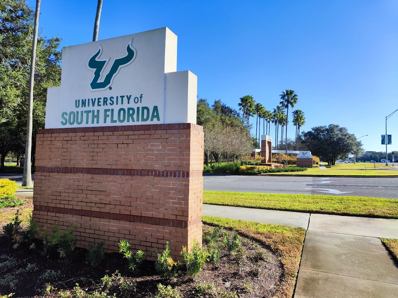 university-of-south-florida-2