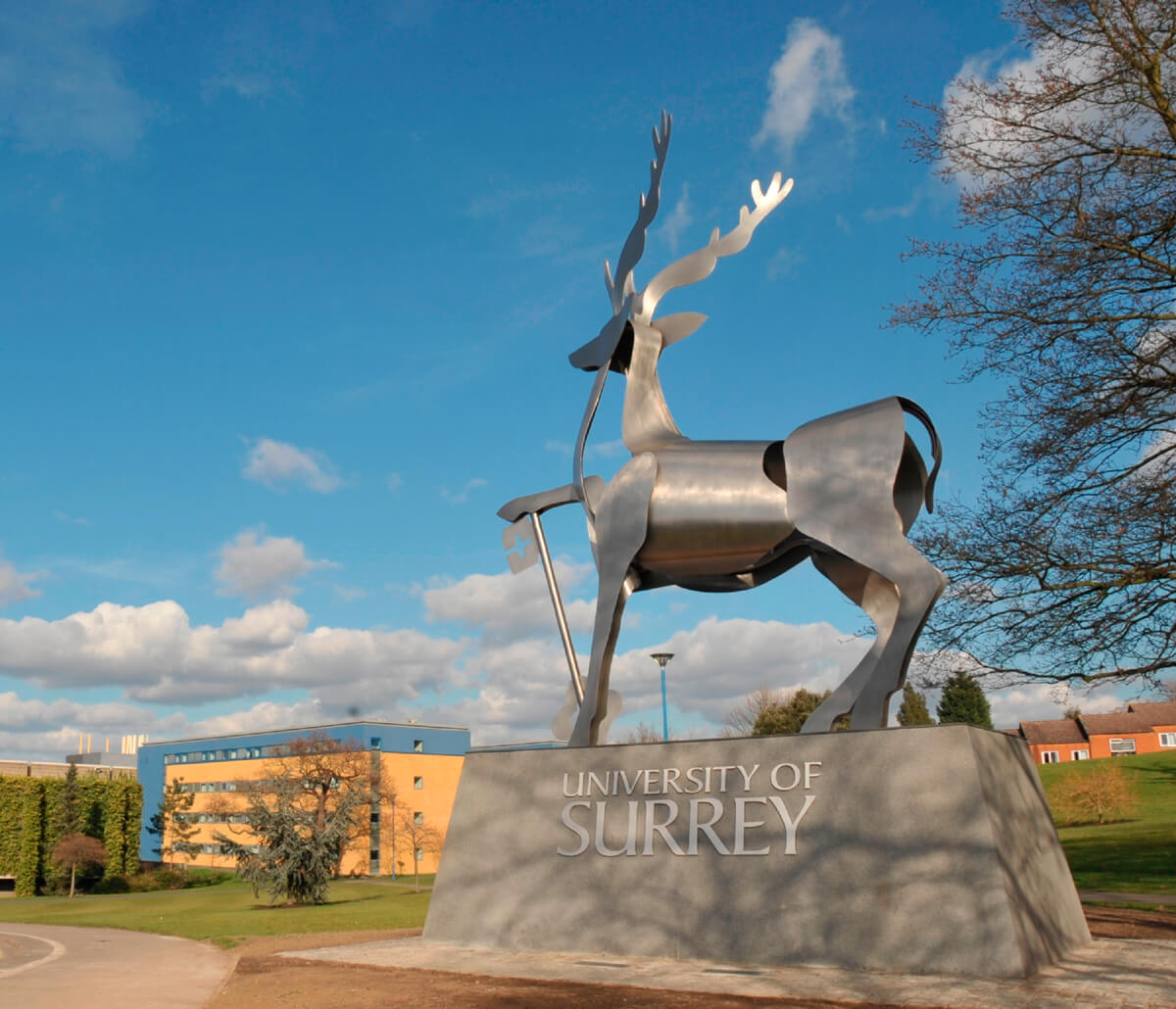 university-of-surrey-3