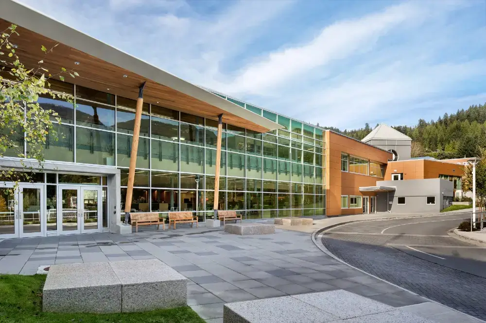 truong-collingwood-school-2